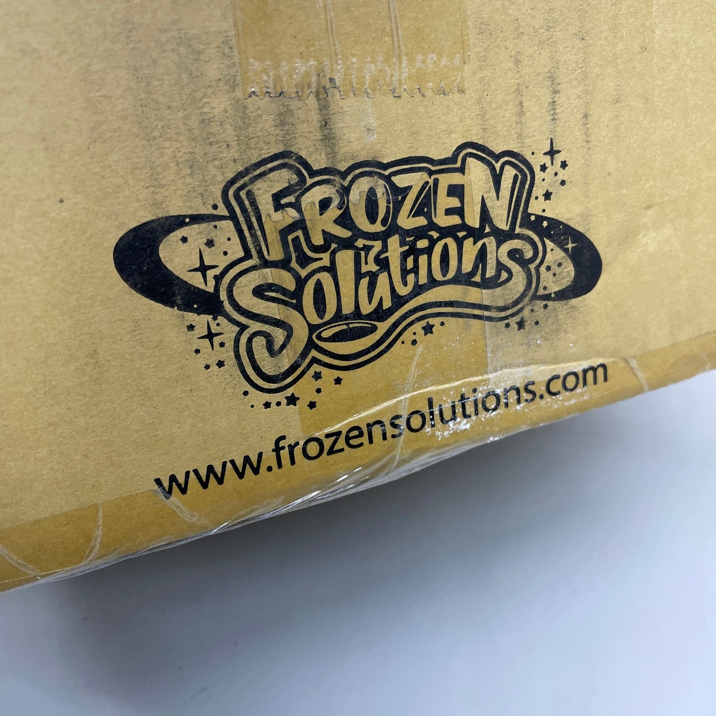 FROZEN SOLUTIONS Compostable Ice Cream Spoons 6.5" 1000x ct. CPLA - Closeout