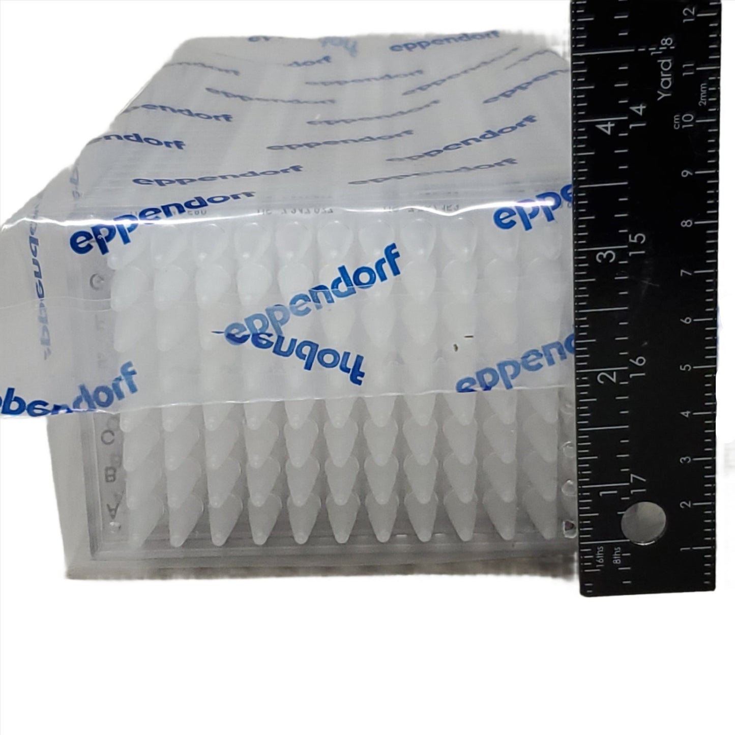 EPPENDORF AG  Twin.Tec Microbiology PCR Plates 250 uL Semi-Skirted Colorless Case, #951020600