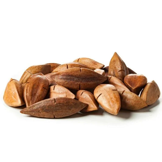 Pili Nuts Dehydrated 22 lbs (10 Kg) Bulk Specialty Ingredient